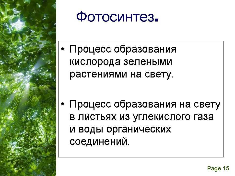 Планетарная роль фотосинтеза — от земли до неба
