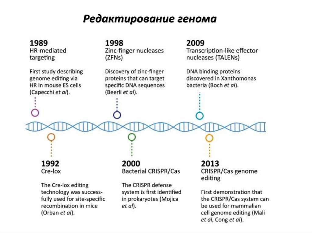 Изменение генов