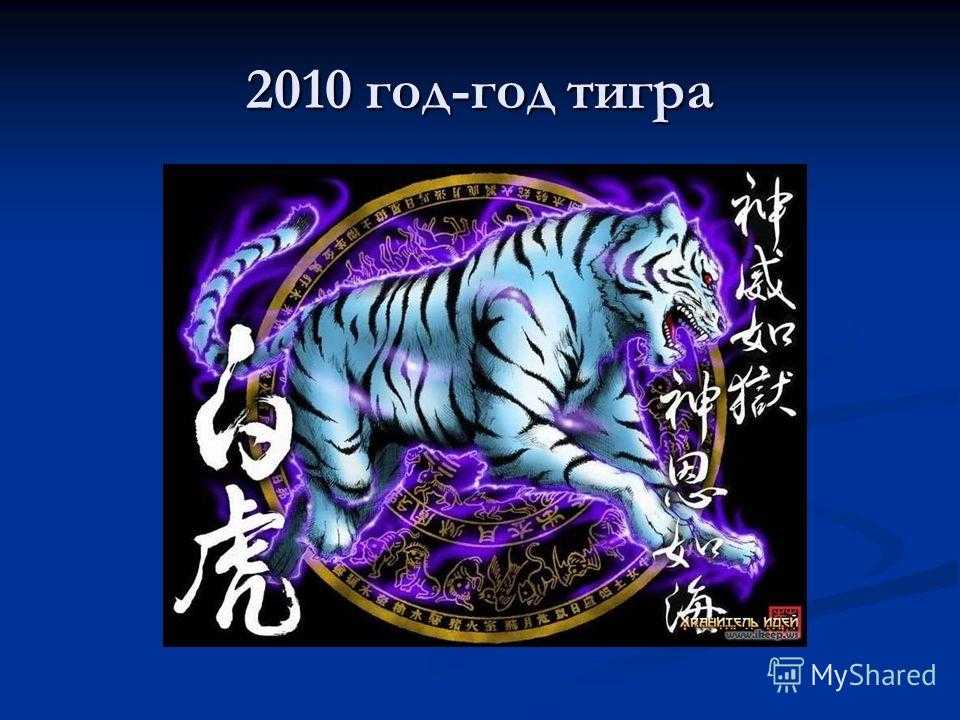 Что приносит год тигра: открытия и страшные события с 1902 по 2010 годы | чс-инфо