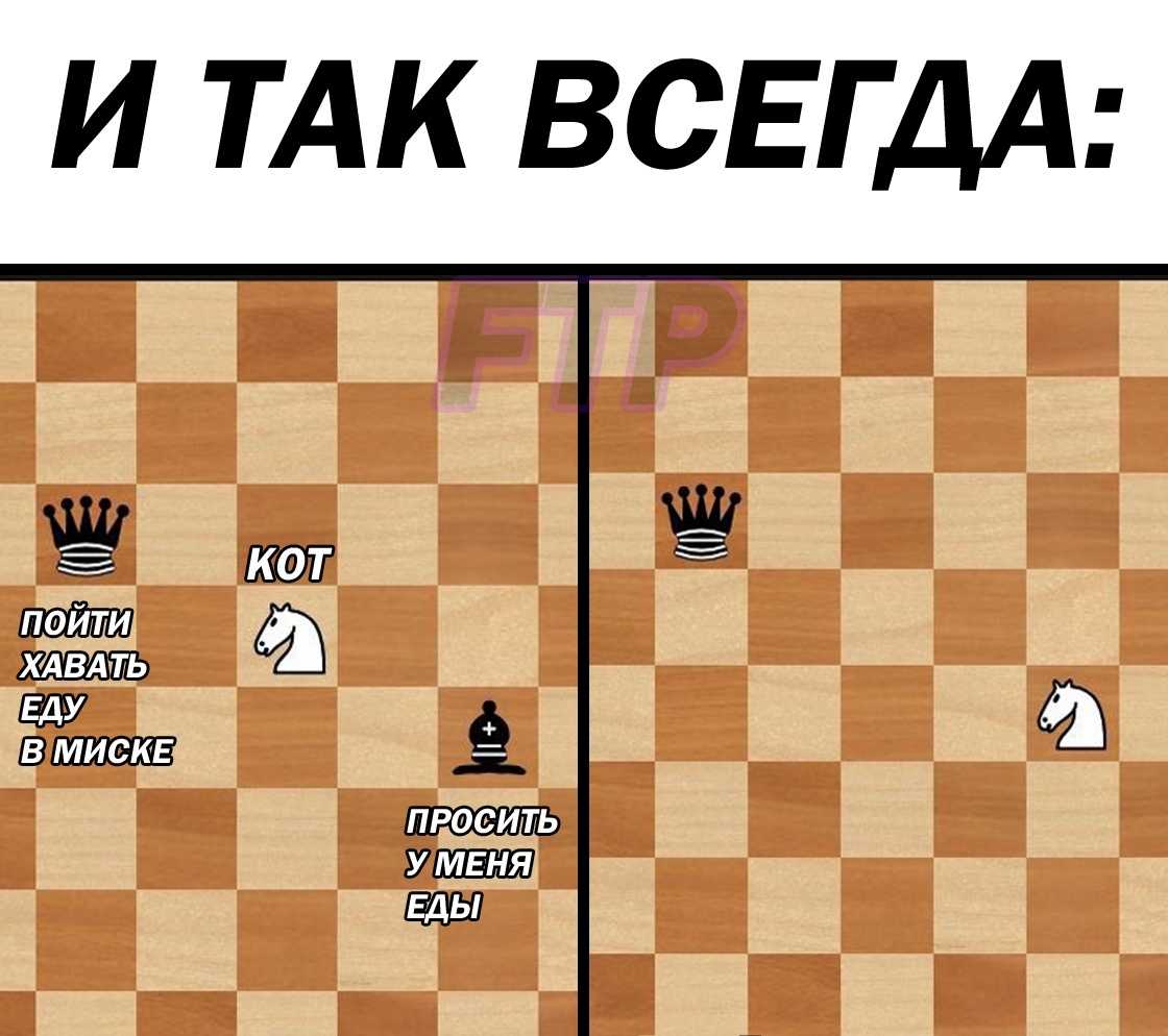 Корейко .ru