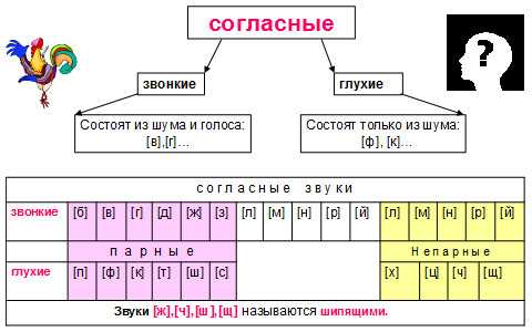 Схема букв и звуков в 1 классе