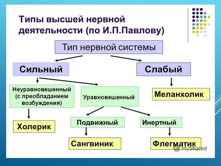Биологическая основа поведения. рефлексы - medfsh.ru