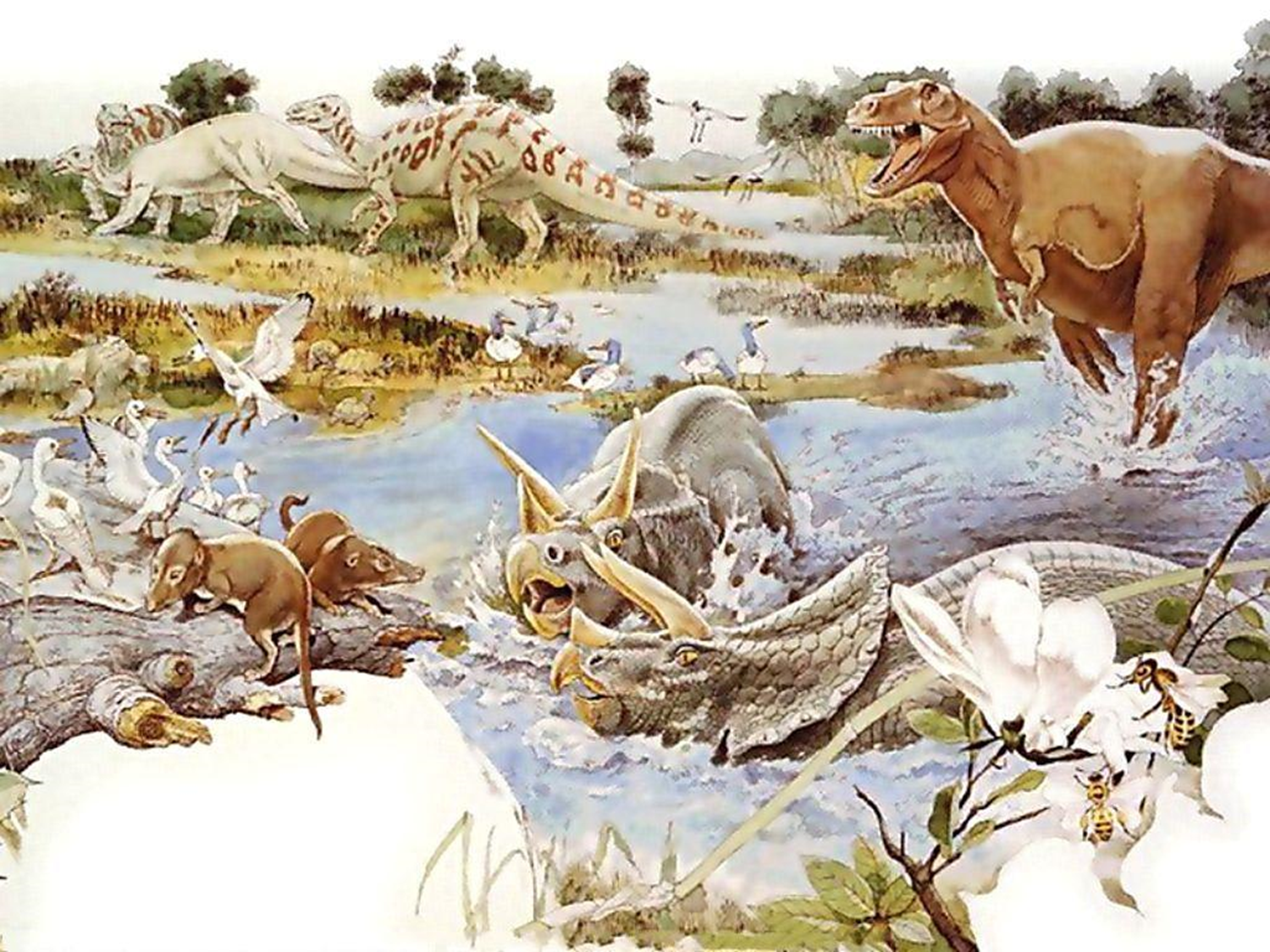 100 млн лет назад какая эра. Мезозойская Эра, мезозой. Мезозойская Эра меловой животные. Эра мезозой период меловой. Меловой период мезозойской.