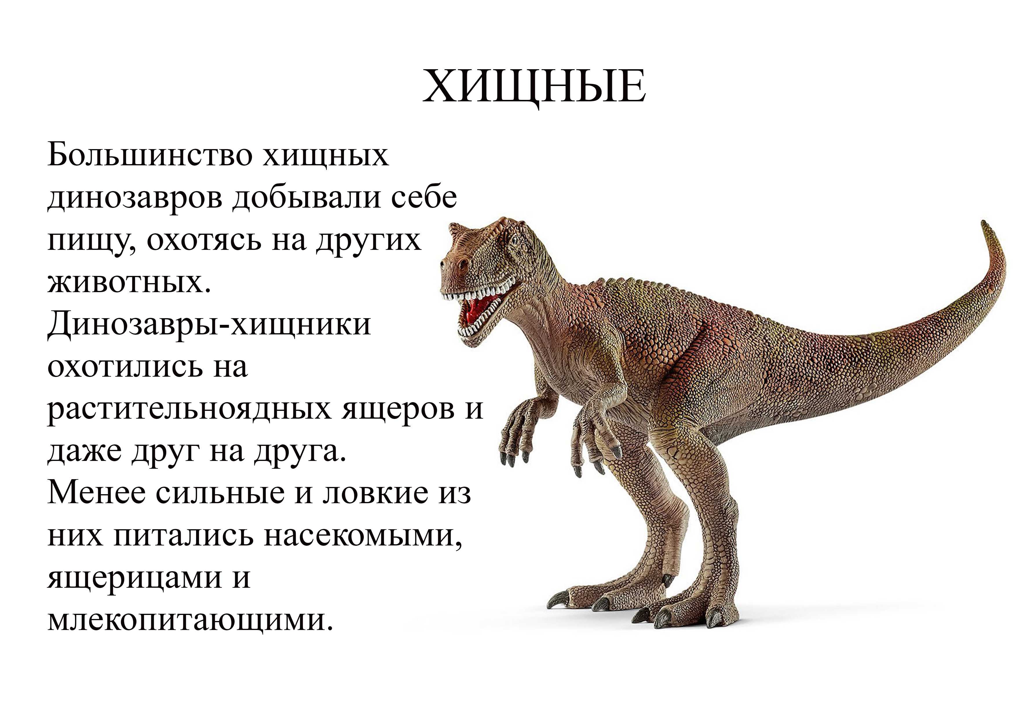 Опиши динозавра. Динозавры хищники названия. Хищные динозавры. Описание динозавров. Имена хищных динозавров.