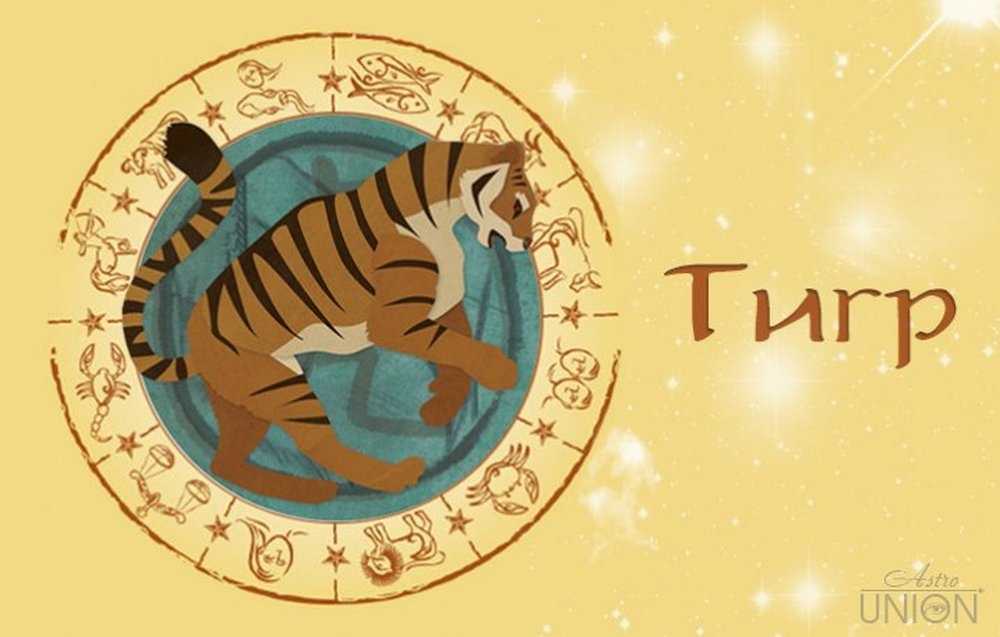 Тигр по гороскопу  - характер и судьба | год тигра - какие года