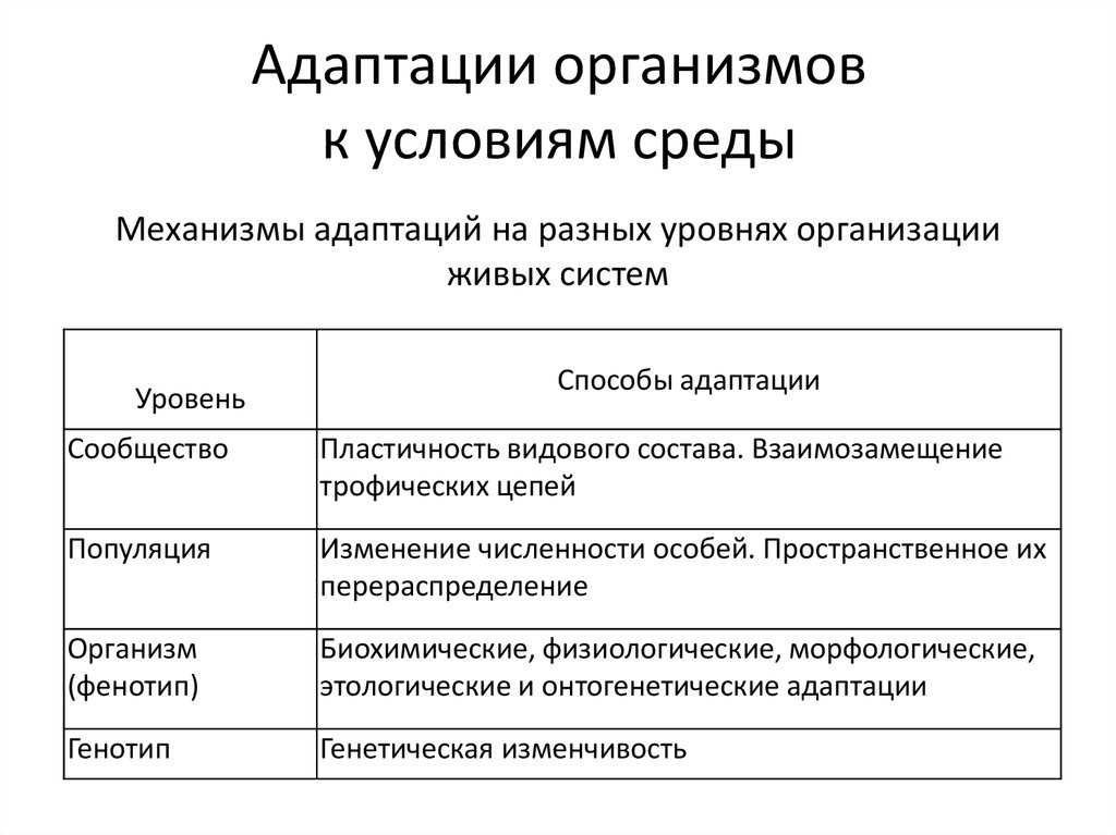 Пример адаптации организмы таблица