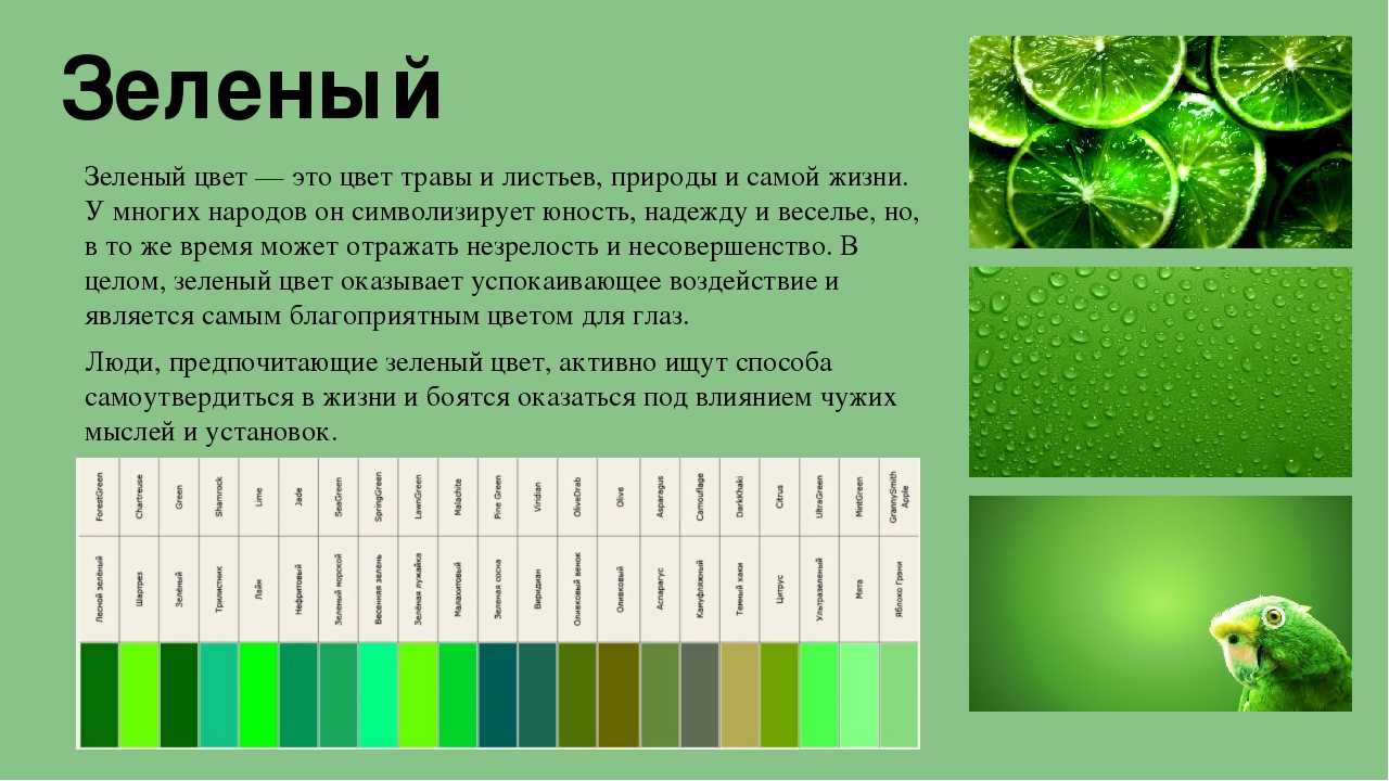 Кличка зеленый. Зеленвйцвет в психологии. Салатовый цвет в психологии. Езелныц цвет в психологии. Зеленый цвет в психологии цветов.