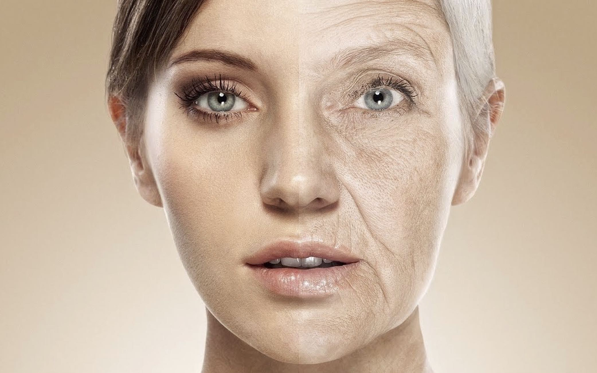 Как стареет наше лицо | блог expert clinics
