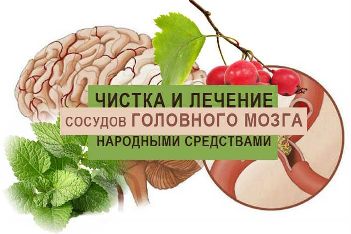 Сосуды головного мозга лечение народными