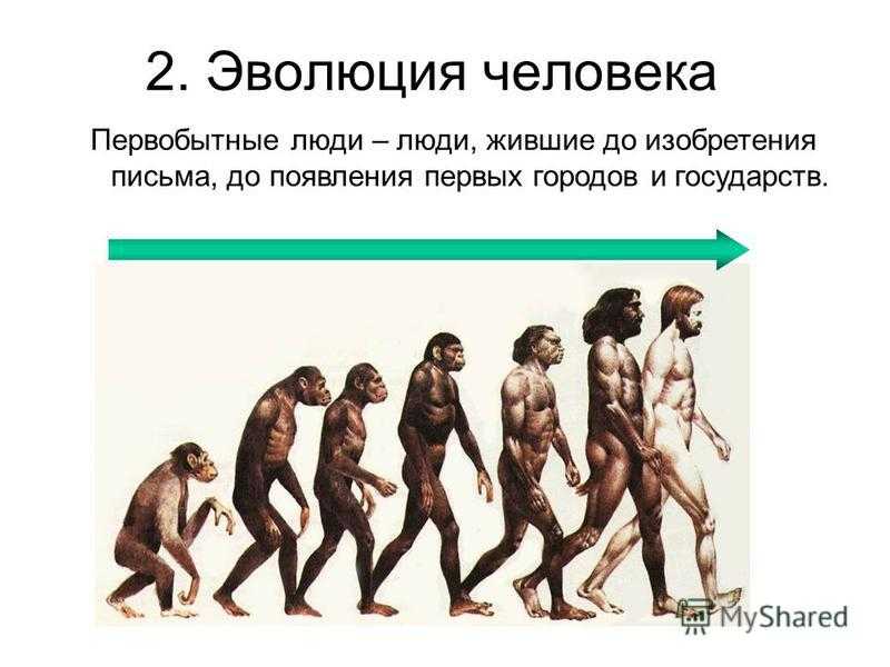 Эволюционирует ли человек. Эволюция человека. Этапы развития человека. Первобытные люди Эволюция. Этапы эволюции человека.