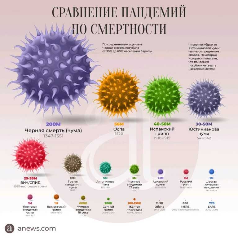Вирусы и причины их мутации | food and health