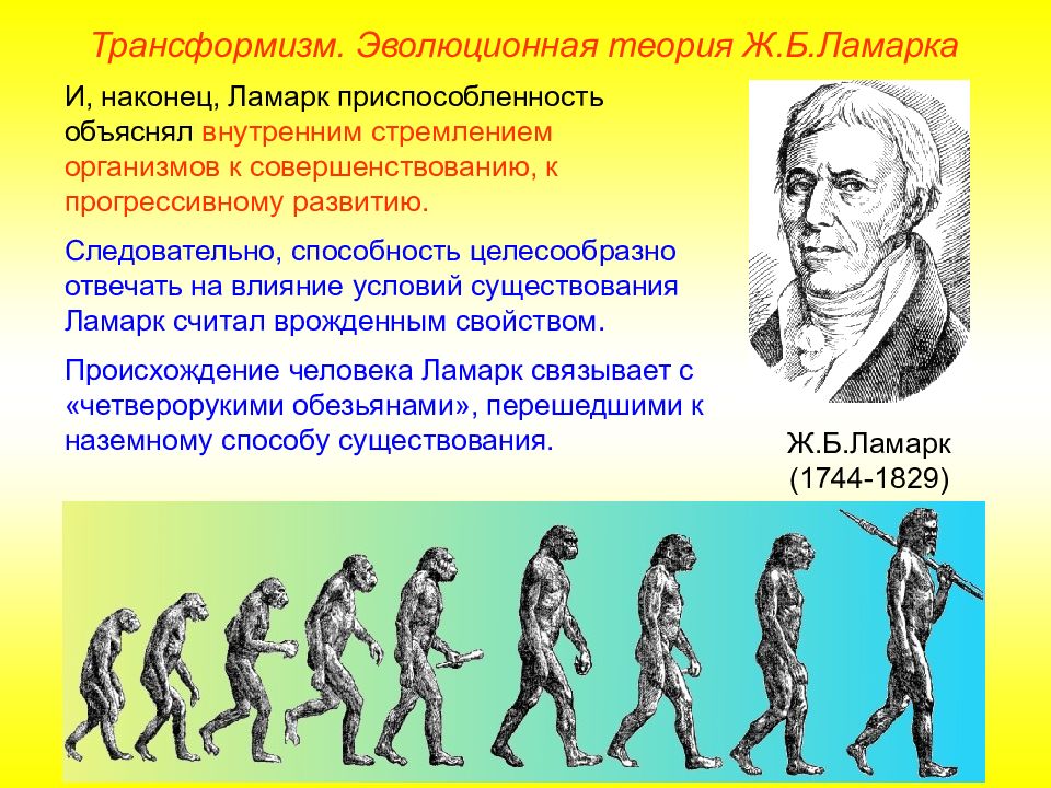 § 62. ближайшие «родственники» человека среди животных / биология 10-11 классы