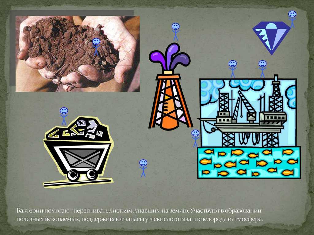 Каменный уголь – что такое, где добывают, свойства, описание и интересные факты для сообщения кратко (3 класс, окружающий мир)