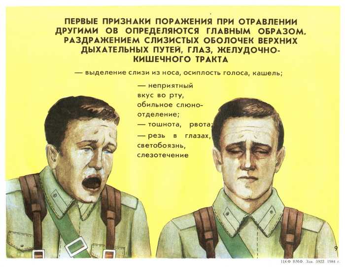 Суслик внешнее строение. ​50 интересных фактов о сусликах для любителей животных. сколько живут суслики