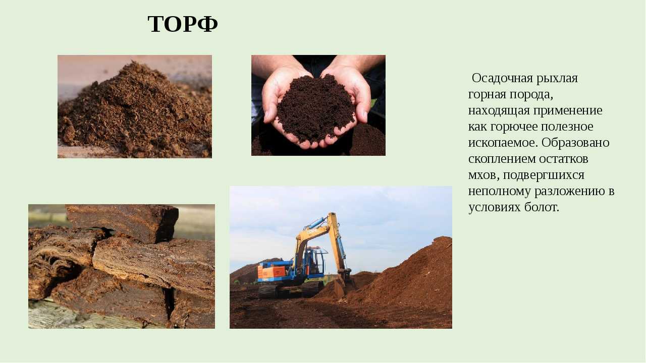 Какие полезные ископаемые добывают в татарстане