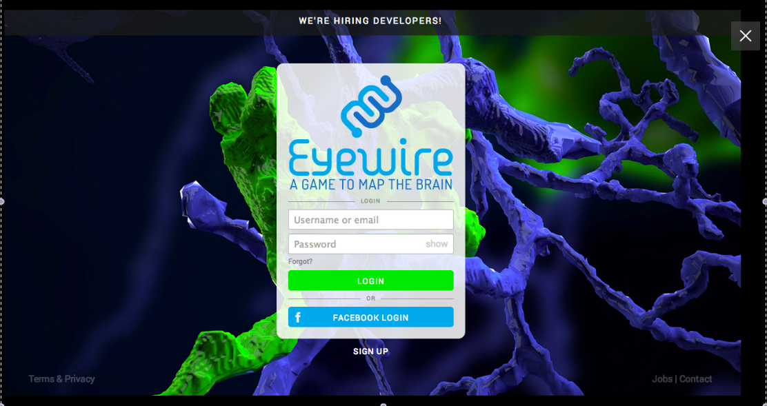 Play eyewire and reconstruct 3d models of neurons
