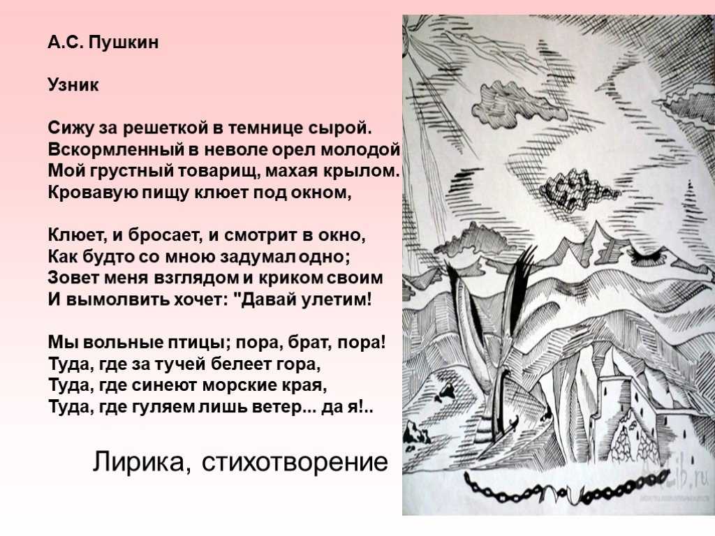 Анализ стихотворения пушкина «узник»