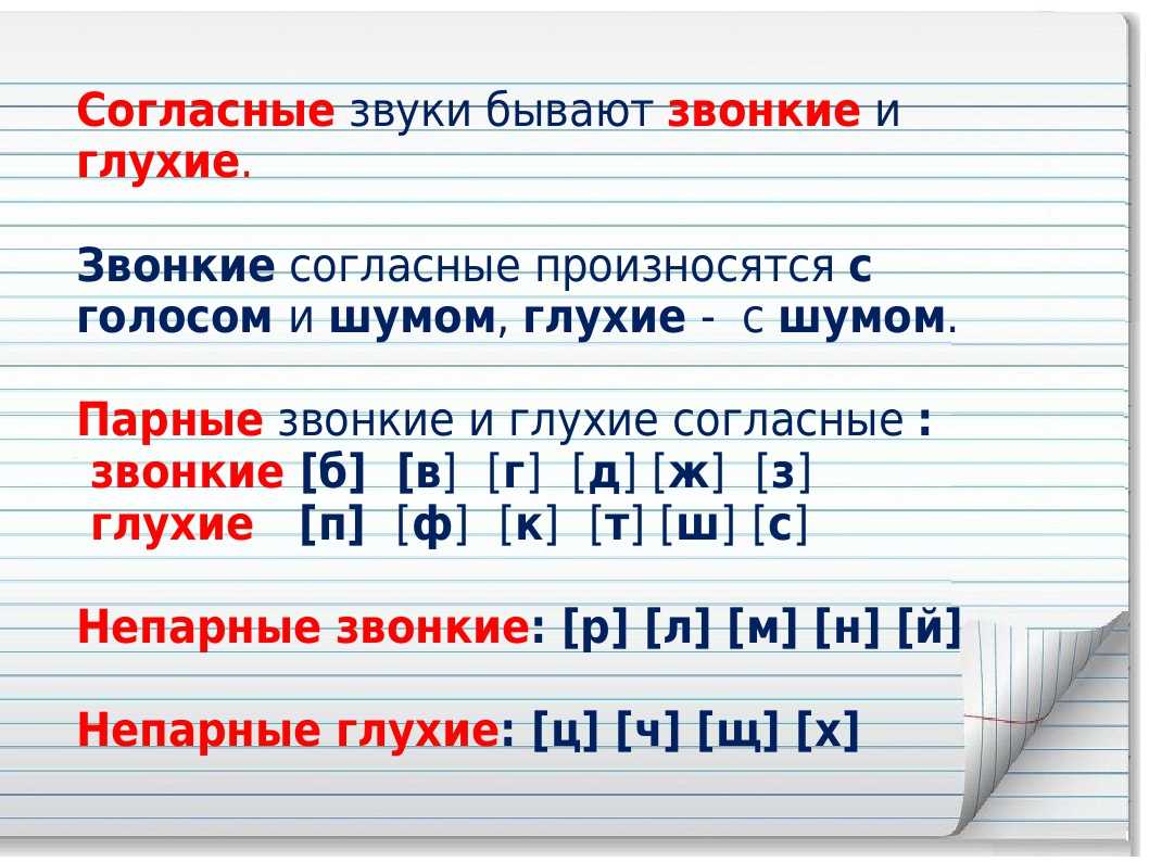 Глухие согласные в русском языке 1 класс