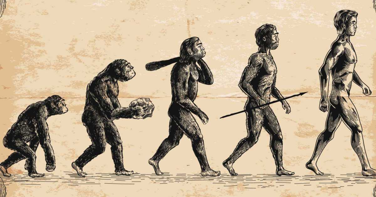 Найдены самые ранние следы современного человека в азии :: инфониак