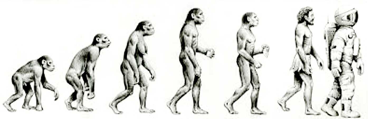 Долгий путь от приматов к современным людям: антропогенез