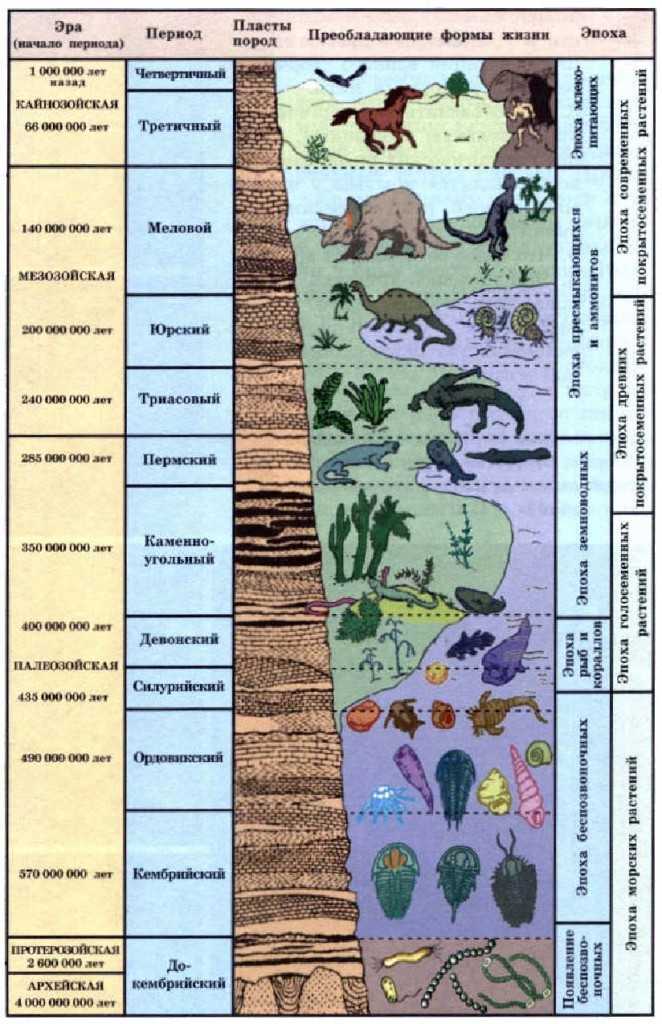 Создана самая точная реконструкция климата со времен динозавров | медиакратия