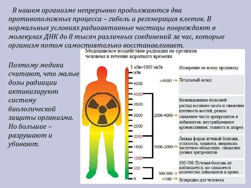 Радиоактивные облучения людей