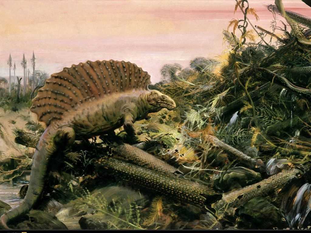 Палеозойская эра (палеозой) от 541 до 252,17 млн. лет назад