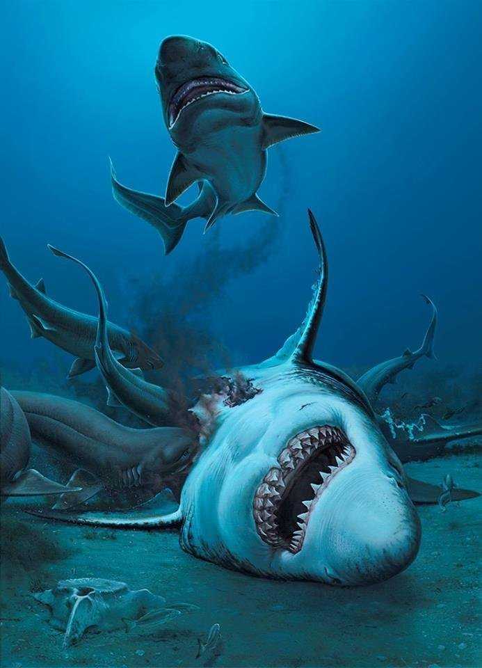 Хозяева древних морей: кем были самые опасные морские хищники прошлого
