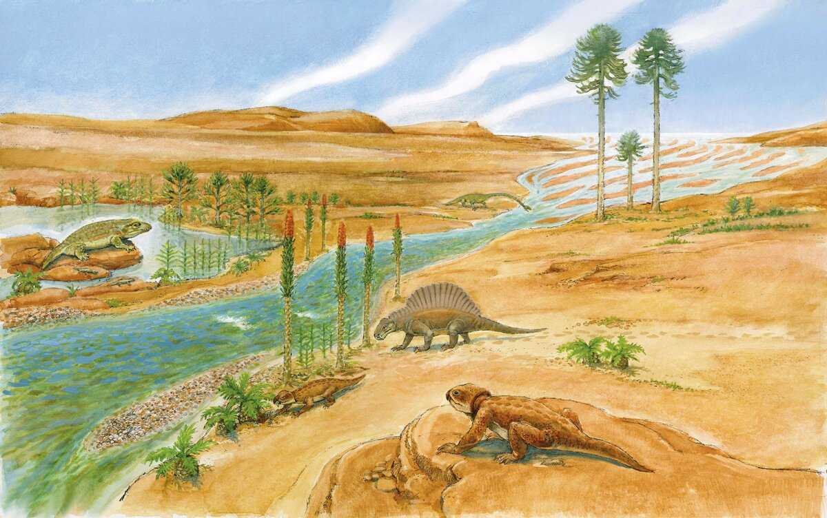 Триасовый период: динозавры, растения, животные, фильмы, игрушки