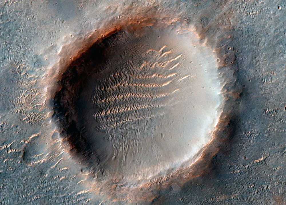 Были ли найдены следы жизни в марсианском метеорите alh 84001