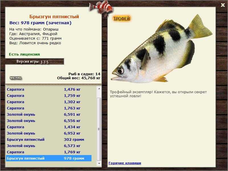 Рыба-брызгун, которая плюется водой: описание, условия содержания
