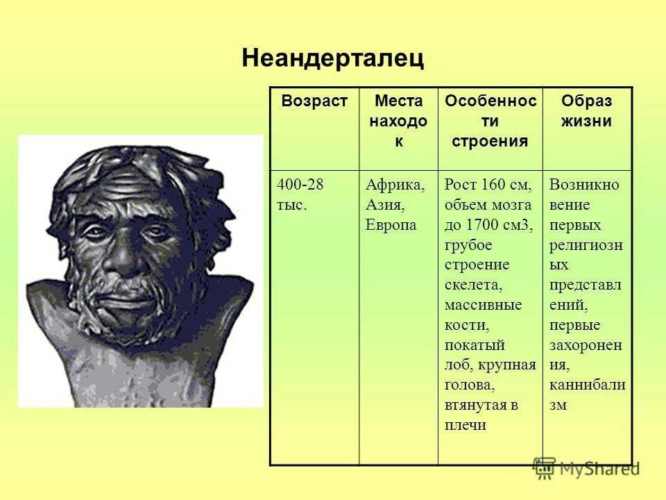 Антропологический облик древних людей презентация