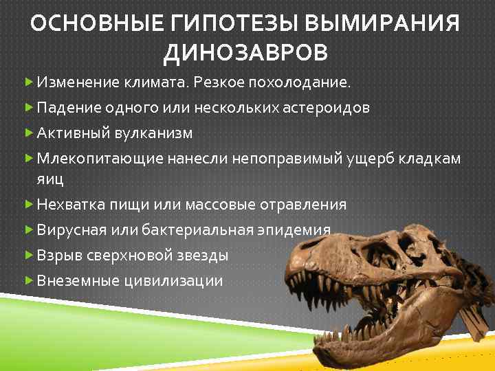 Почему и когда вымерли динозавры? причины и гипотезы