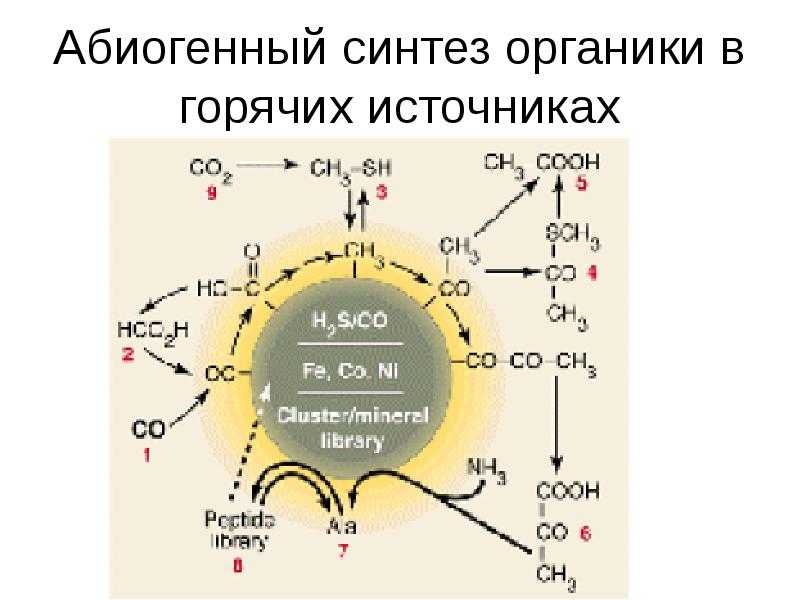 Роль вакуумного ультрафиолетового излучения и других видов энергии открытого космоса в абиогенном синтезе нуклеотидов и дипептидов  симаков михаил борисович