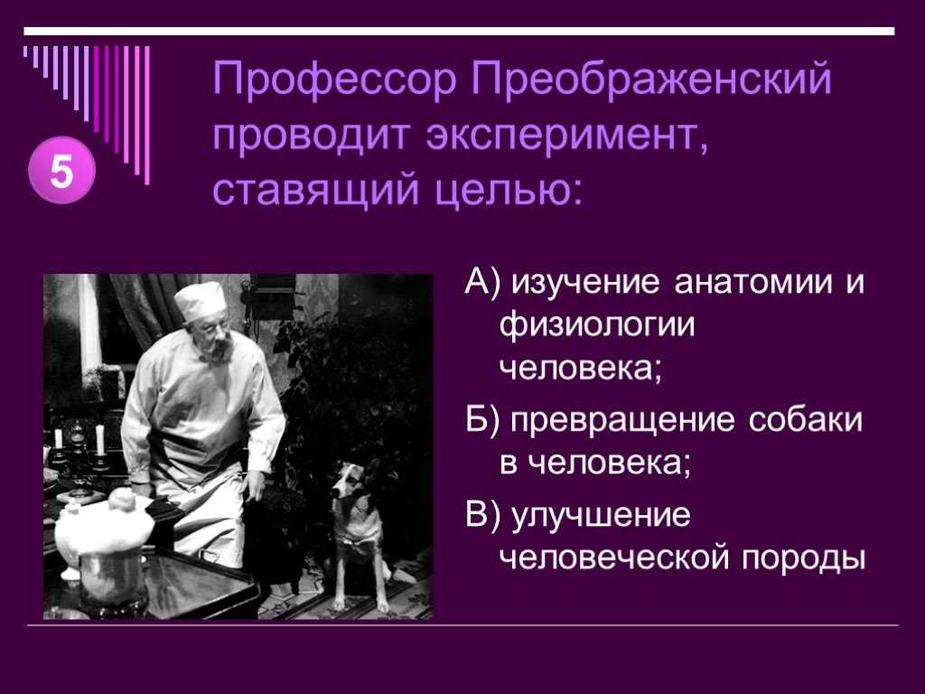 Образ и характеристика профессора преображенского в повести собачье сердце булгаков