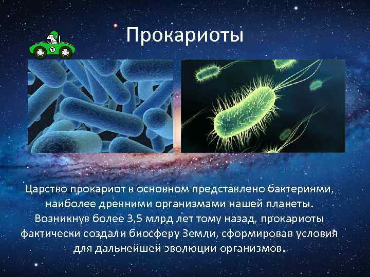 Атф (аденозинтрифосфат)
