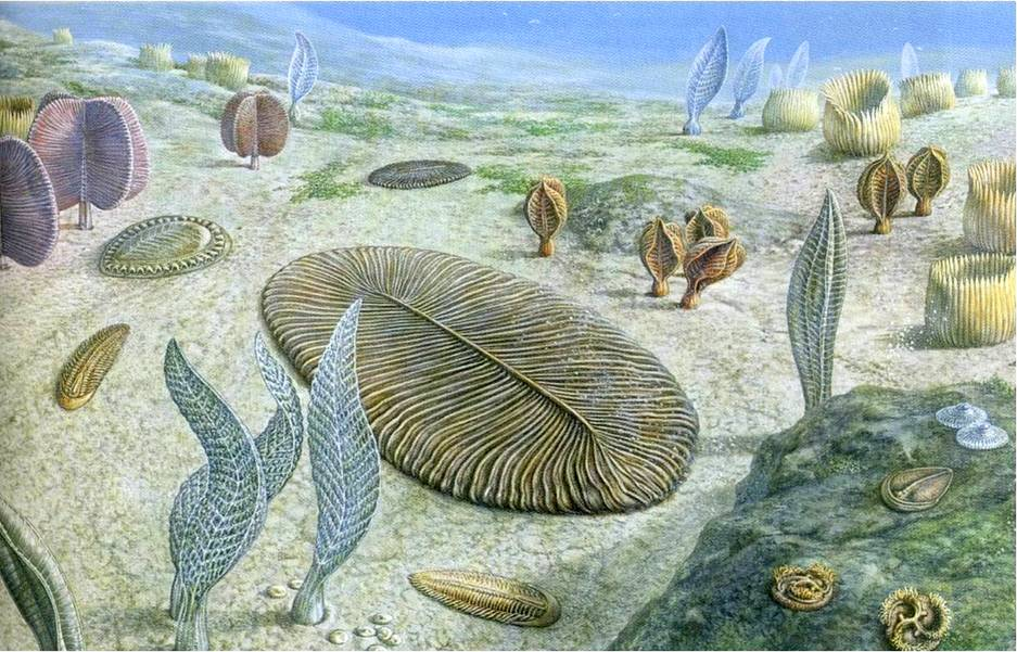 О том, кто же такие вендобионты — загадочные гигантские ископаемые организмы, существовавшие в конце эдиакарского периода 580–542 млн лет назад, — ведутся непрекращающиеся споры, но до сих пор никто не сомневался в их морском происхождении И вот американс