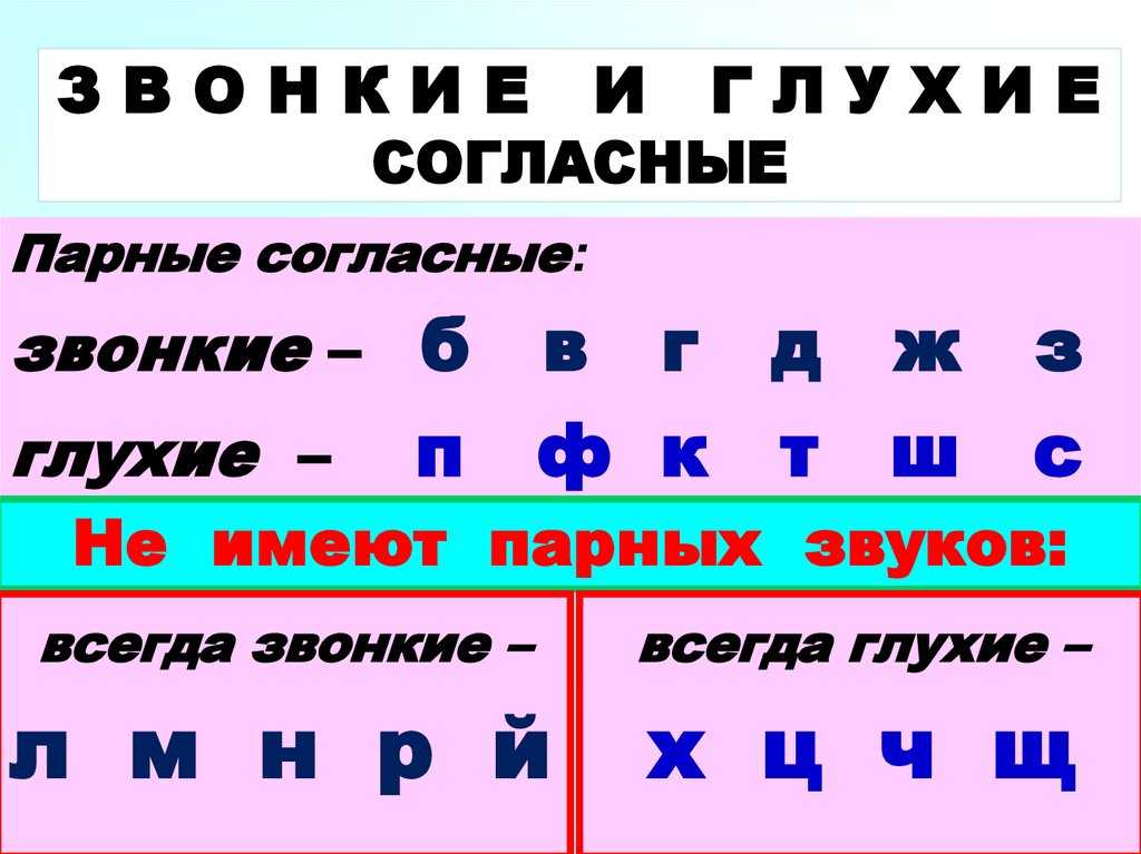 В каких словах все согласные звуки глухие салат