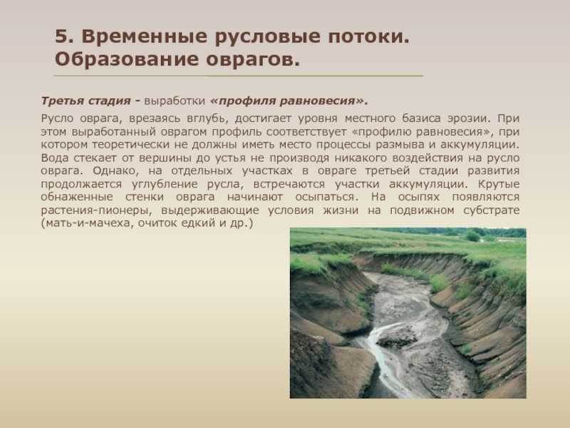 Рельеф россии и основные геологические структуры россии