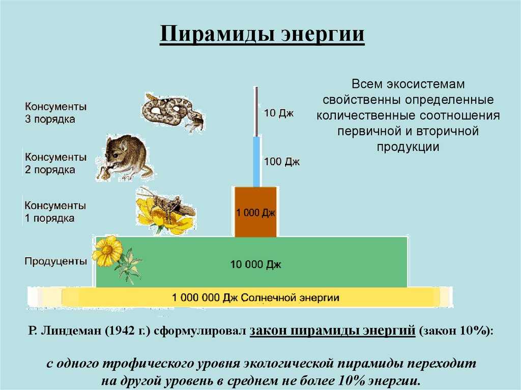 Очередная «точка невозврата»: масса всего созданного человеком превышает биомассу земли - hi-news.ru