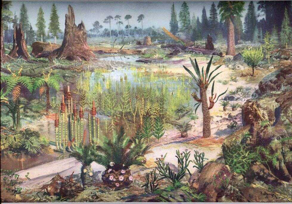 Триасовый период, или триас (252-201 млн лет назад) — природа мира