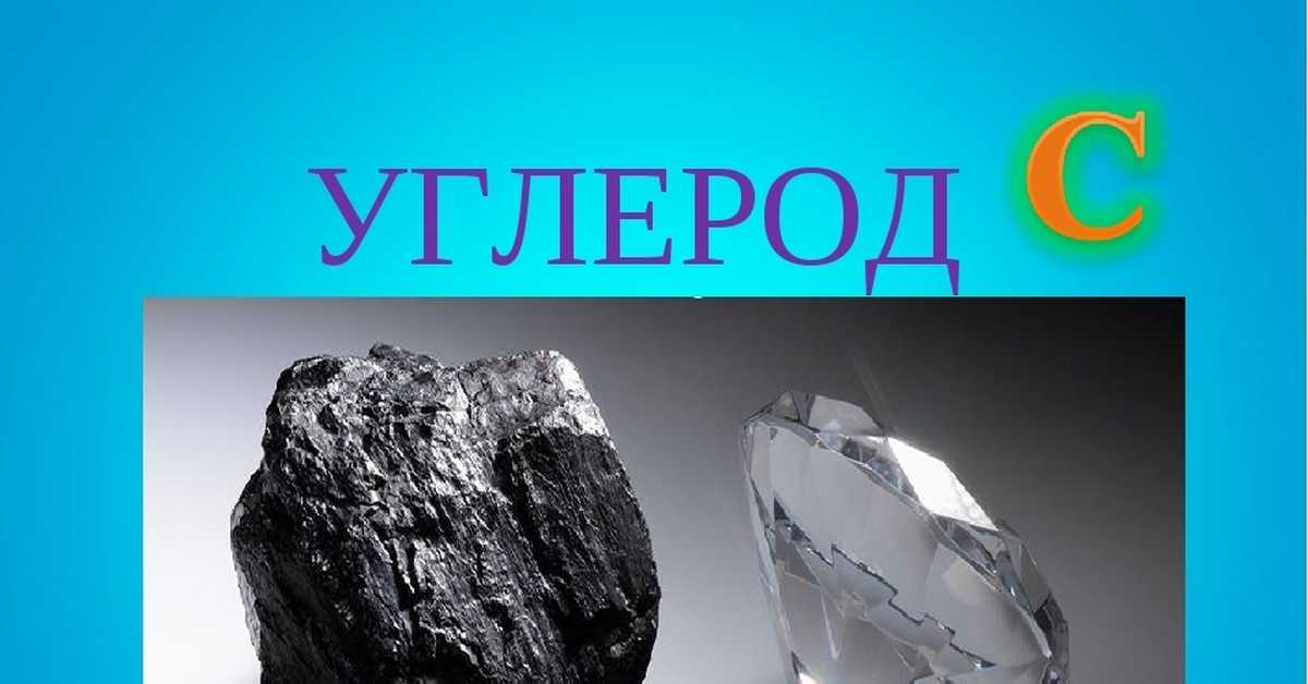 Характеристики углеродного цикла, резервуары, компоненты, изменения / окружающая среда | thpanorama - сделайте себя лучше уже сегодня!