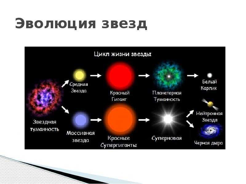 Как будет выглядеть вспышка сверхновой с земли? - hi-news.ru