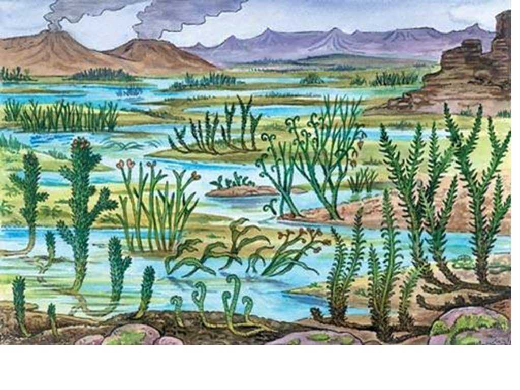 400 млн лет назад какая. Палеозойская Эра псилофиты. Риниофиты Силур. Силурийский период псилофиты. Силур Эра растения.