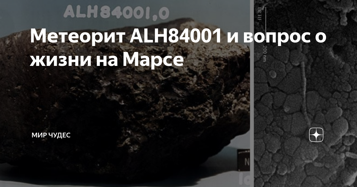 Alh84001