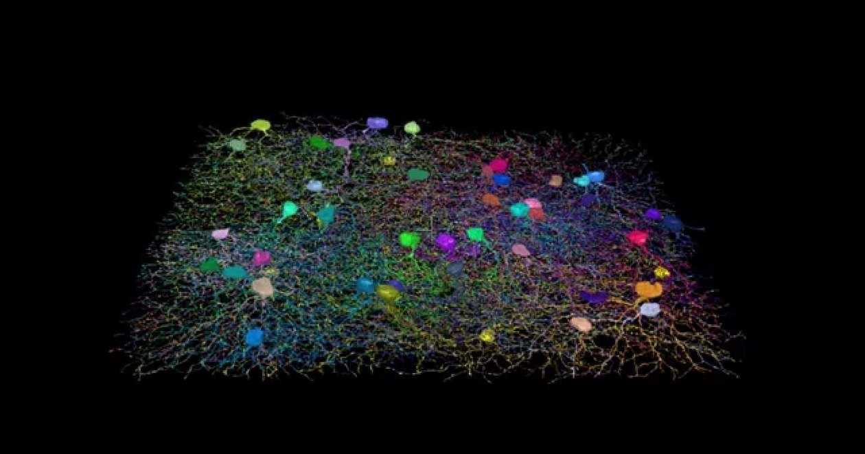 Eyewire eterna основанная на человеке вычислительная игра neuron brain mapping, eyewire, игра, текст, товарный знак png