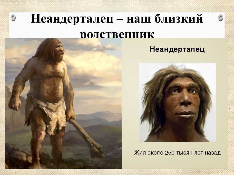 Где по мнению ученых появились первые люди. Палеоантропы или древние люди неандертальцы. Неандерталец и хомо сапиенс. Древние люди - Палеоантропы, неандертальцы. Неандерталец появился.