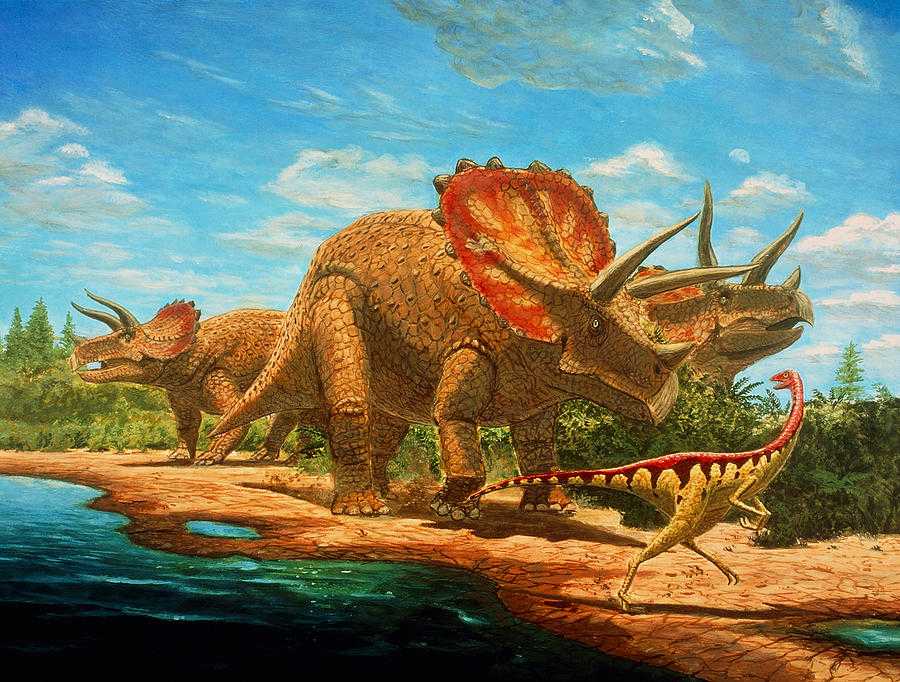Динозавры жили миллионов лет назад. Юрский период мезозойской эры. Динозавры мезозойской эры. Меловой период мезозойской эры динозавры. Трицератопс динозавры мелового периода.