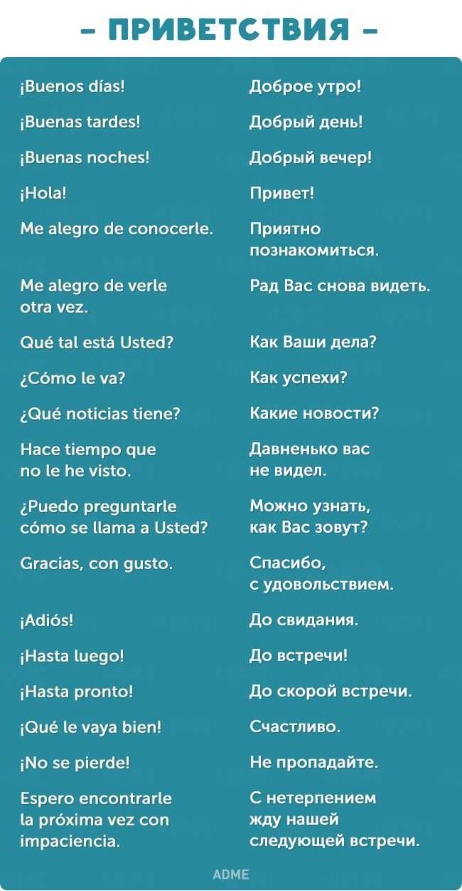 Разговорные формулы испанского языка. мобильное приложение по испанскому языку
        | speakasap® | иностранные языки. елена шипилова®
